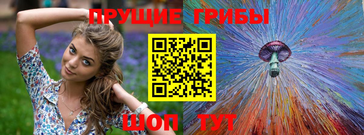 Кандалакша  купить  цена  Вход с VPN  Галлюциногенные грибы Psilocybine cubensis 